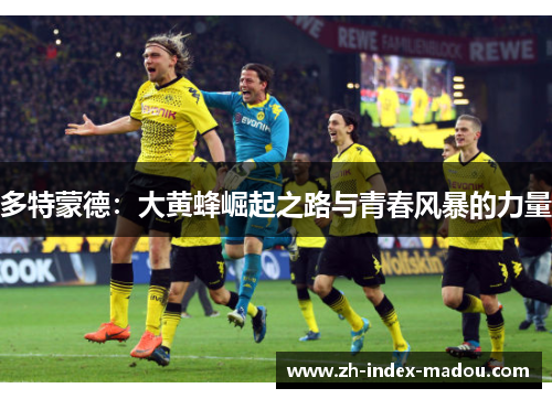 多特蒙德:大黄蜂崛起之路与青春风暴的力量 多特蒙德:大黄蜂崛起之路与青春风暴的力量