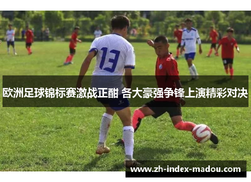 欧洲足球锦标赛激战正酣 各大豪强争锋上演精彩对决