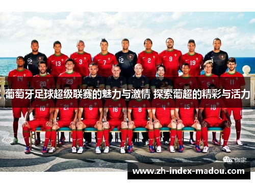 葡萄牙足球超级联赛的魅力与激情 探索葡超的精彩与活力 葡萄牙足球超级联赛的魅力与激情 探索葡超的精彩与活力
